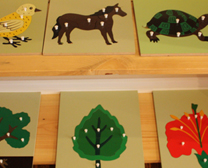 Animal and Nature Puzzles