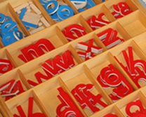 Alphabet Pieces